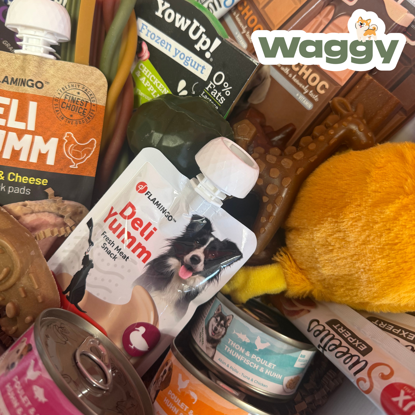 La Waggybox Chiot - Easter