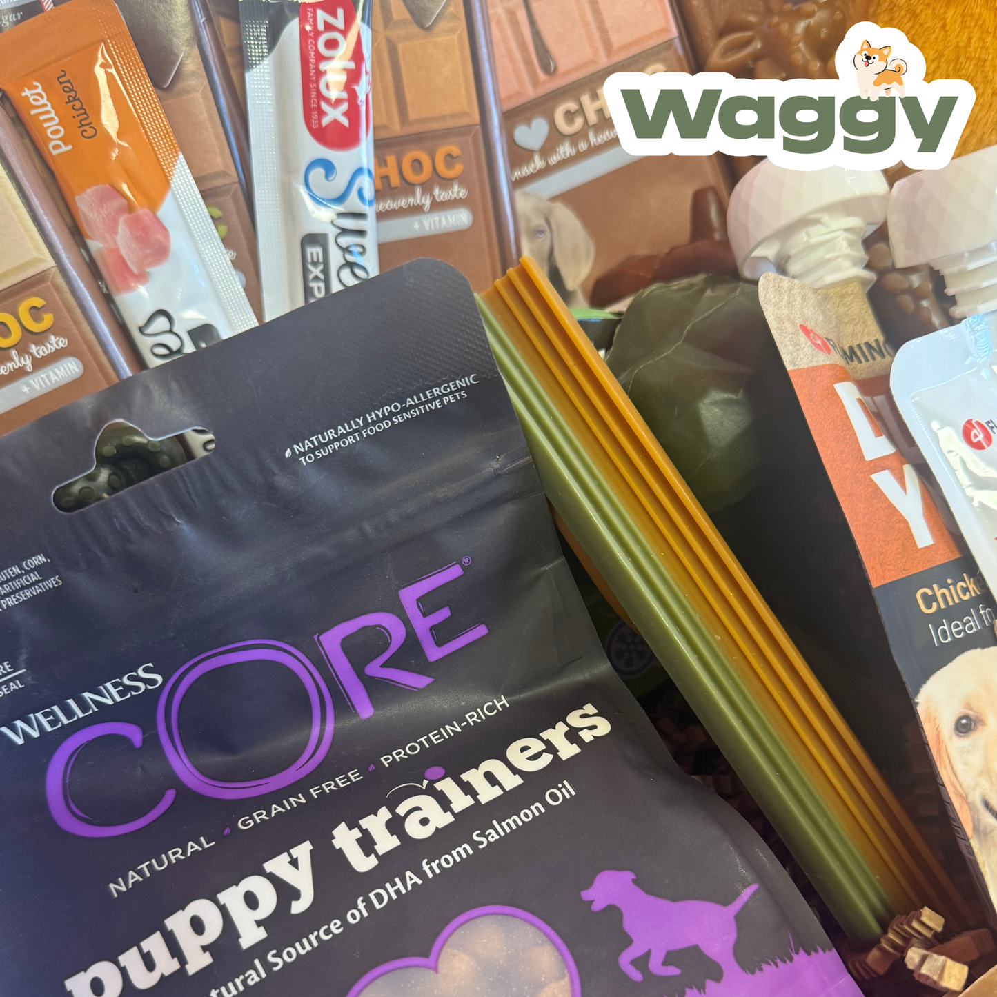 La Waggybox Chiot - Easter