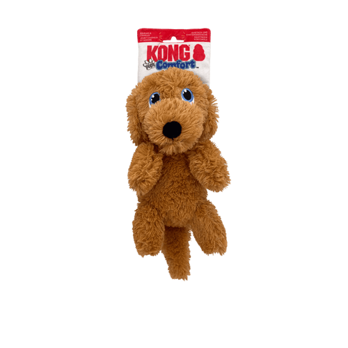 Aiden le golden Kong - M/L