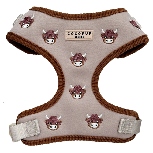Harnais Highland cow  Fall - Cocopup