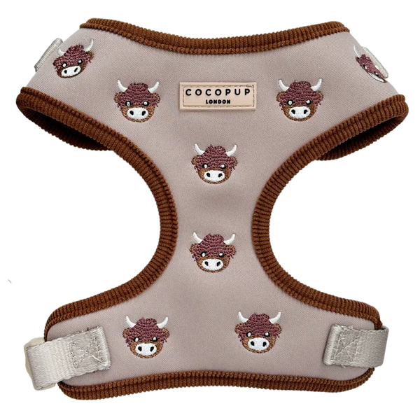 Harnais Highland cow  Fall - Cocopup