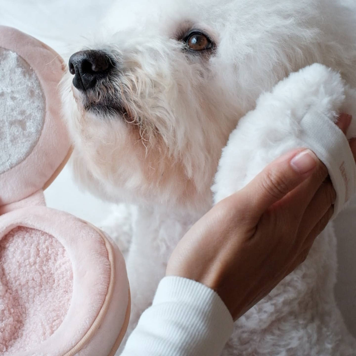 Blush — poudrier de fouille · Lambwolf Collective — Précommande Noël