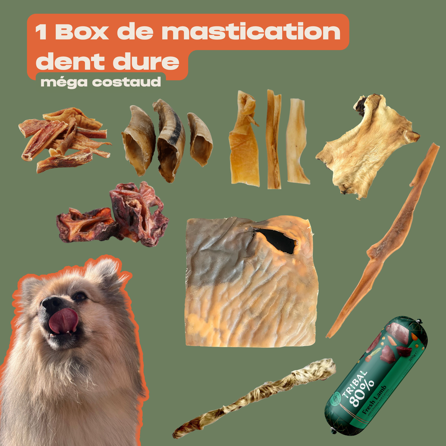La WaggyBox Dent dure - Édition rentrée