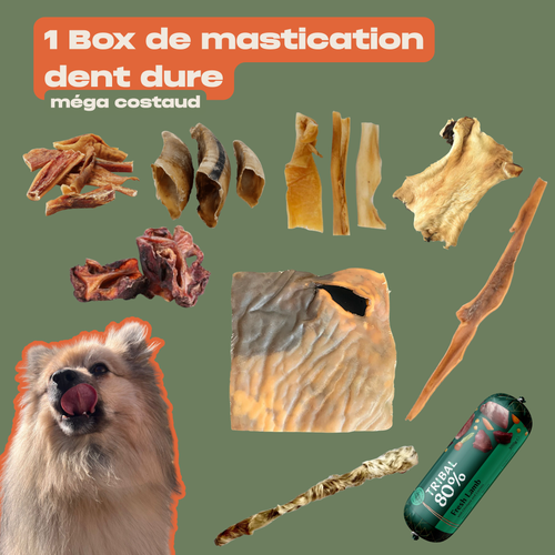 La WaggyBox Dent dure - Édition rentrée