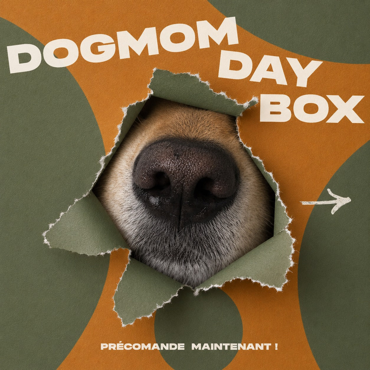 La DogMom Day Box - Précommande