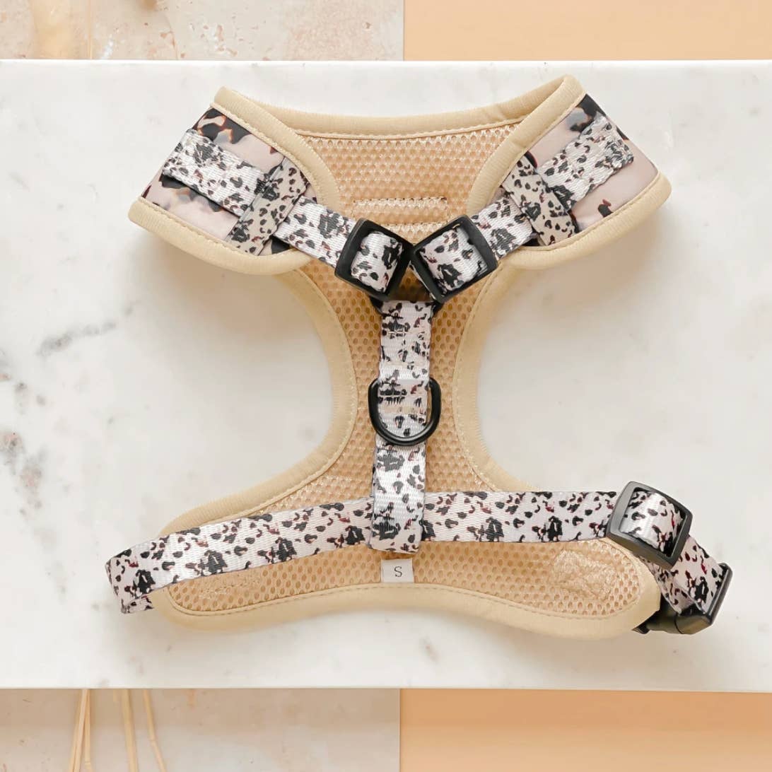 Harnais Ivory Tort · Cocopup London — Précommande Noël