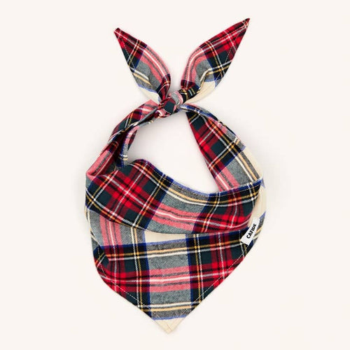 Crème — bandana tartan Dress Stewart — XL · CAFIDE — Précommande Noël