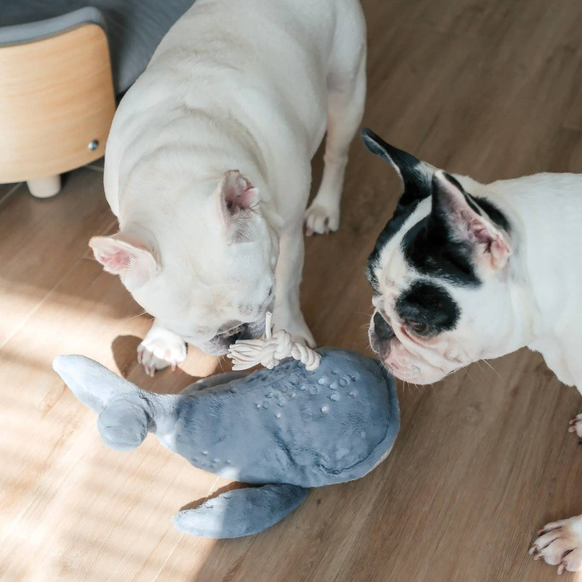 Wally — baleine en peluche · Lambwolf Collective — Précommande Noël