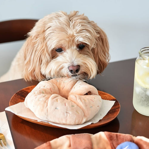 Donut Sprinkle — jouet de fouille · Pups & Bubs — Précommande Noël