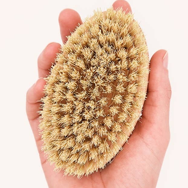 Teo — brosse pour poils courts · CAFIDE — Précommande Noël