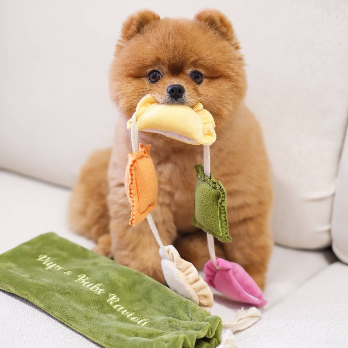 Raviolis — sachet de fouille · Pups & Bubs — Précommande Noël