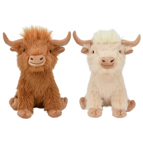 Summer Vache highland