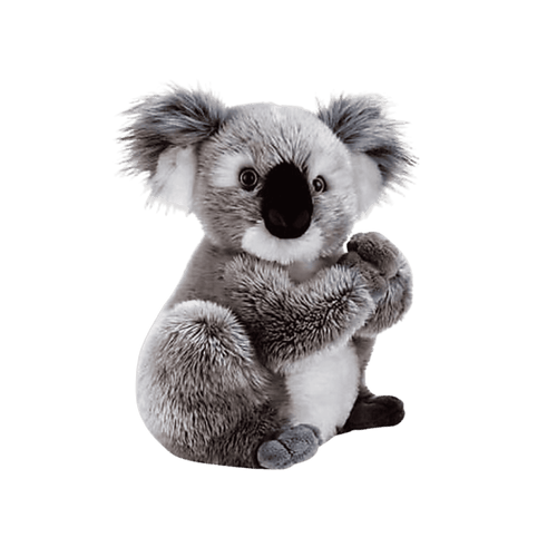 Noah le Koala 26cm