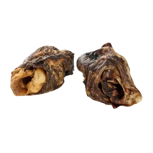 Larynx de boeuf