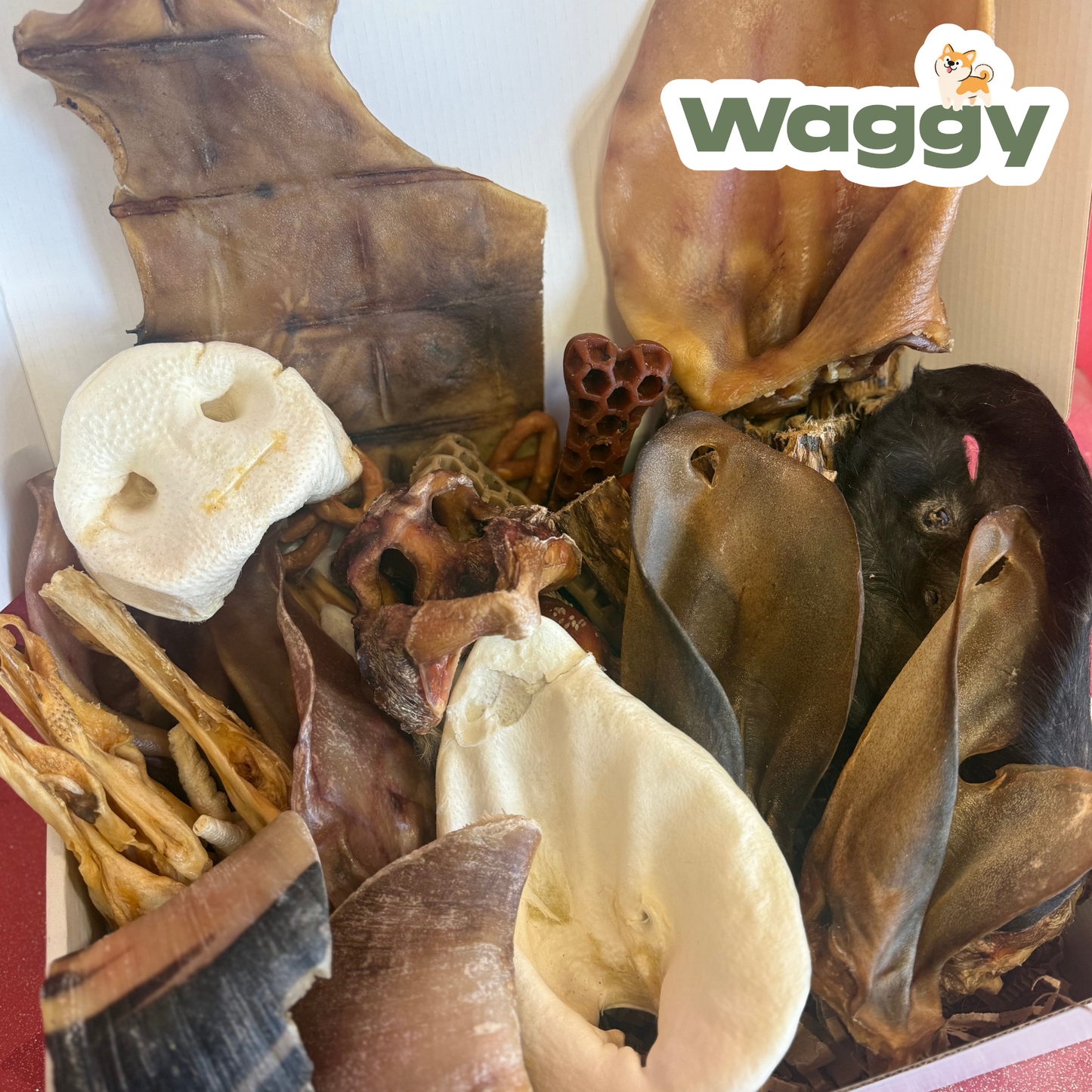 La WaggyBox de mastication