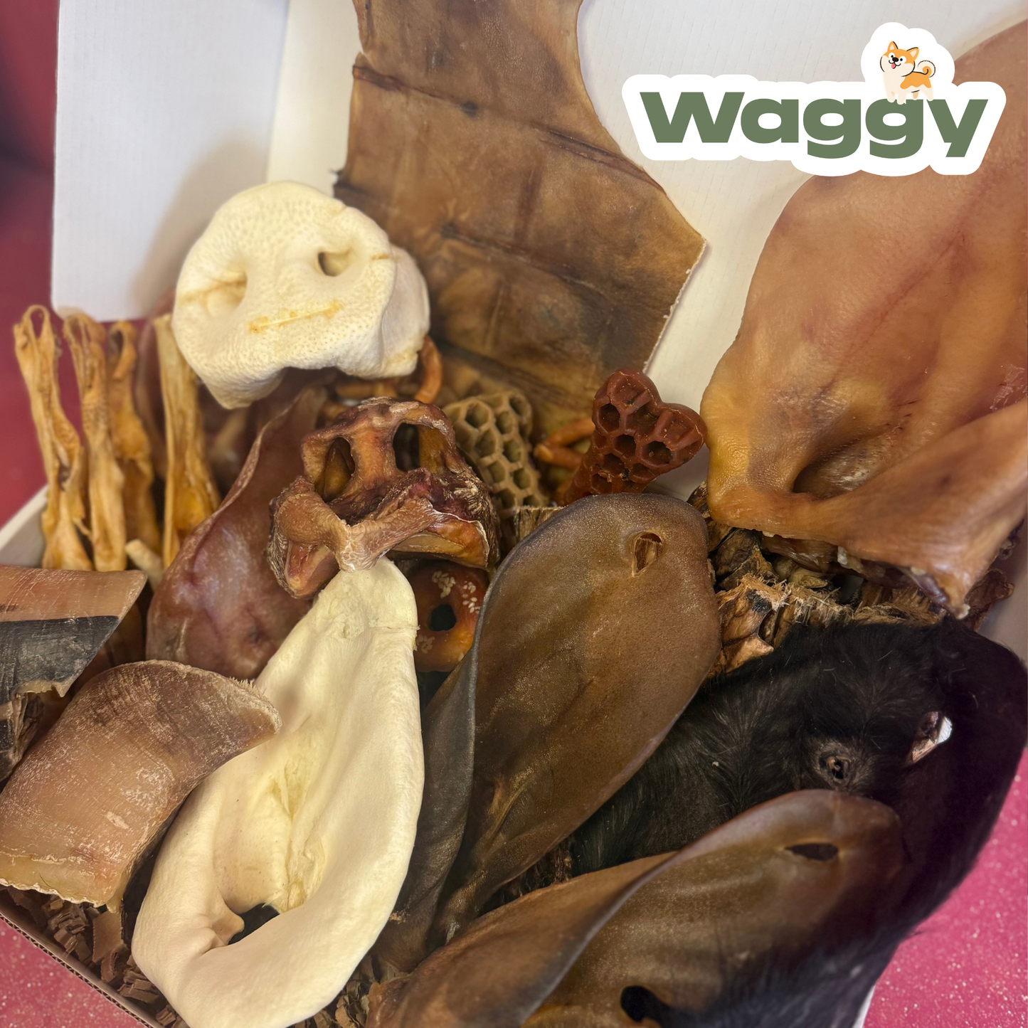 La WaggyBox de mastication