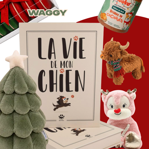 Box de Noel collector 2026 - Précommande