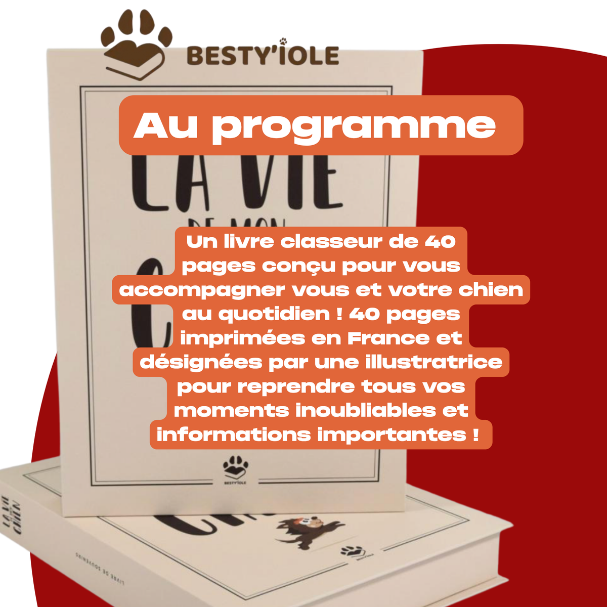 Box de Noel collector 2026 - Précommande