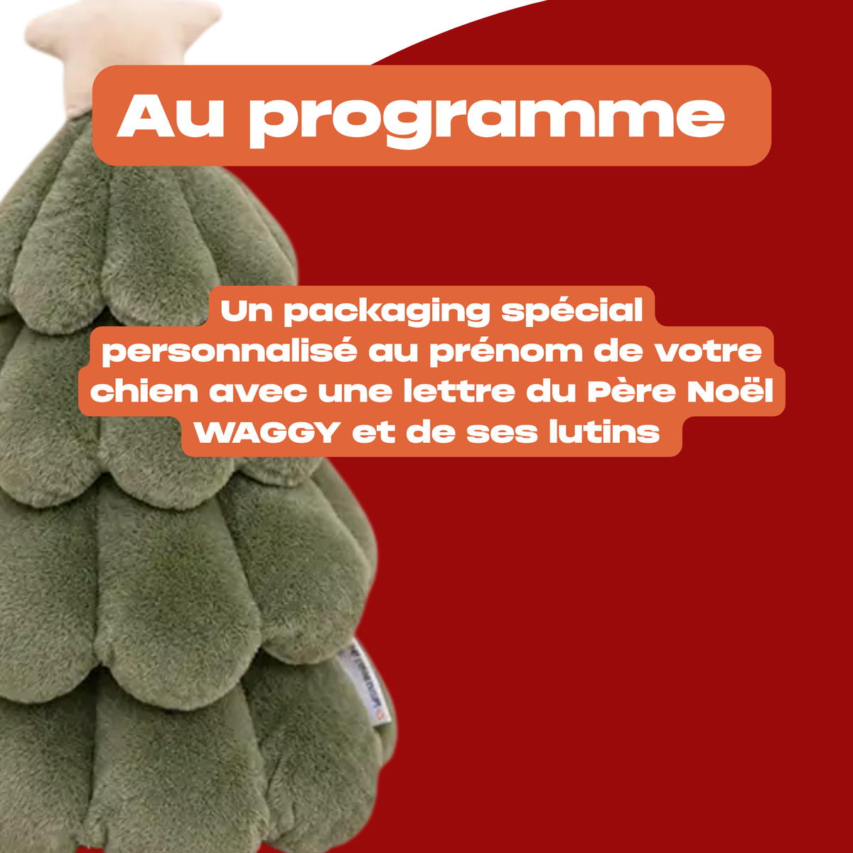 Box de Noel collector 2026 - Précommande