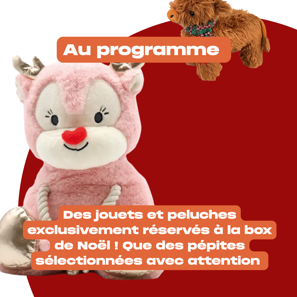 Box de Noel collector 2026 - Précommande
