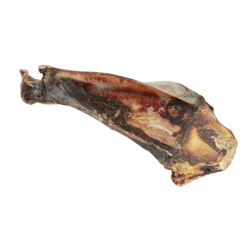 Omoplate de cerf L/XL
