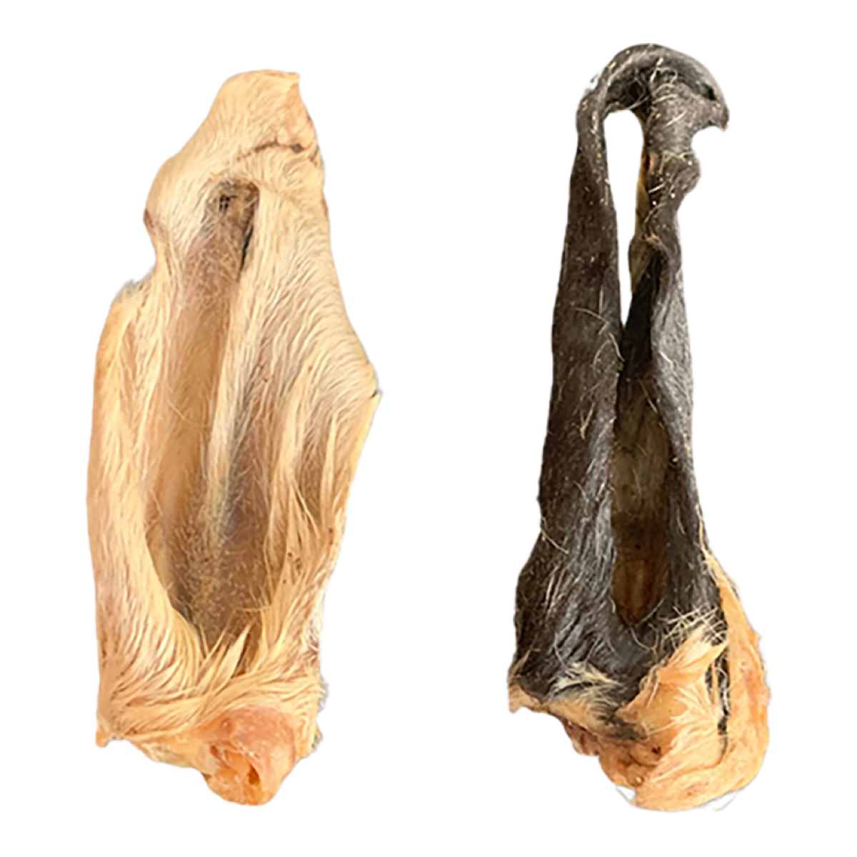 Oreille d'agneau poilue