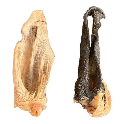 Oreille d'agneau poilue