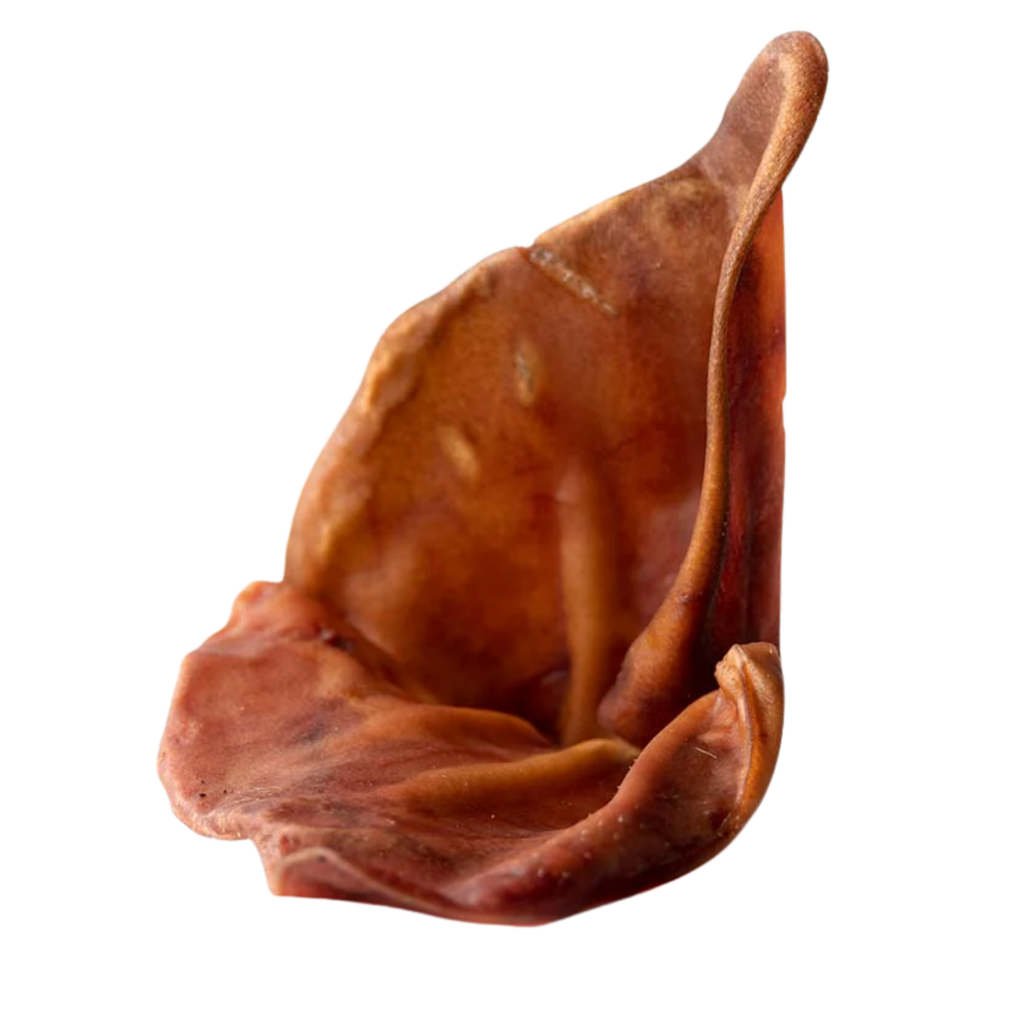Oreille de porc avec cartilage