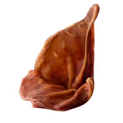 Oreille de porc avec cartilage