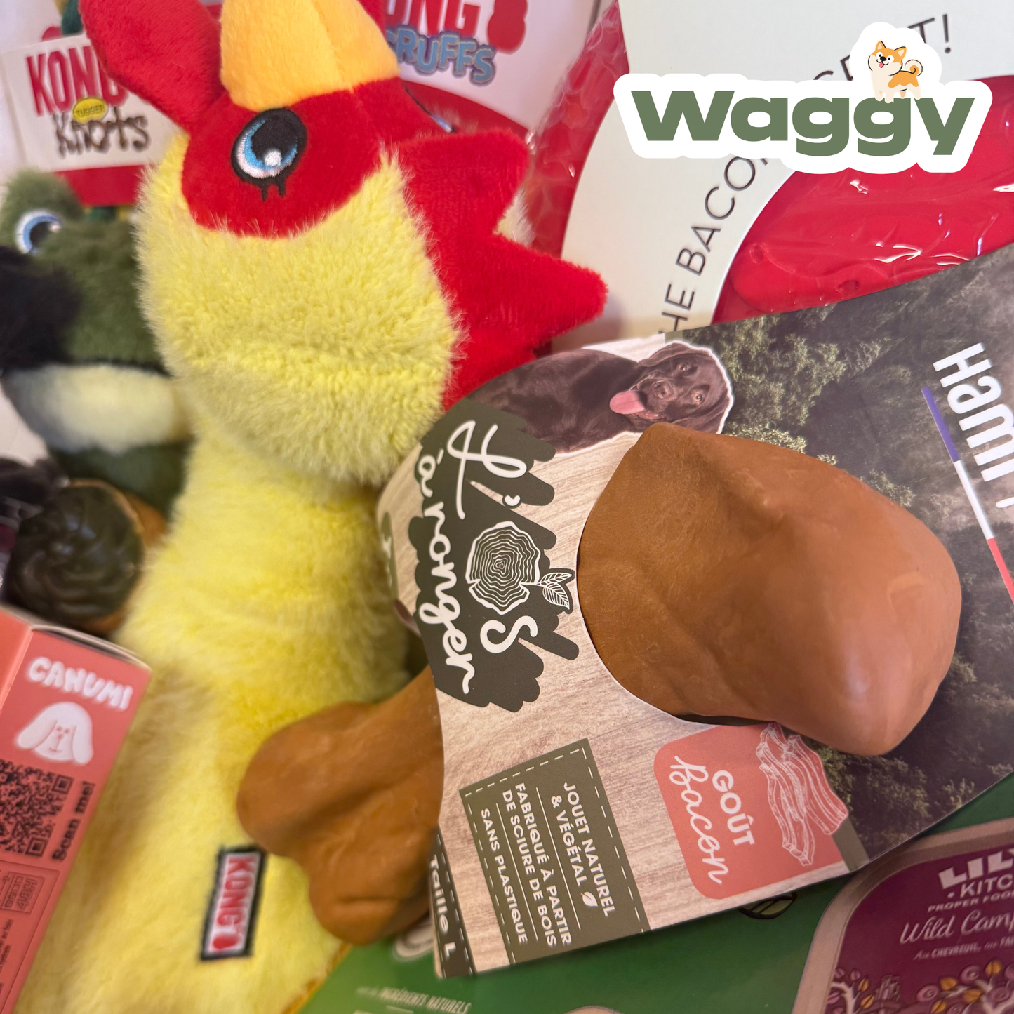 La WaggyBox d'ouverture indécente