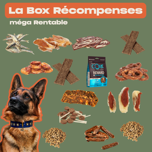 La WaggyBox Chiot - Récompense
