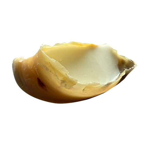 Sabot farci à la graisse de mouton