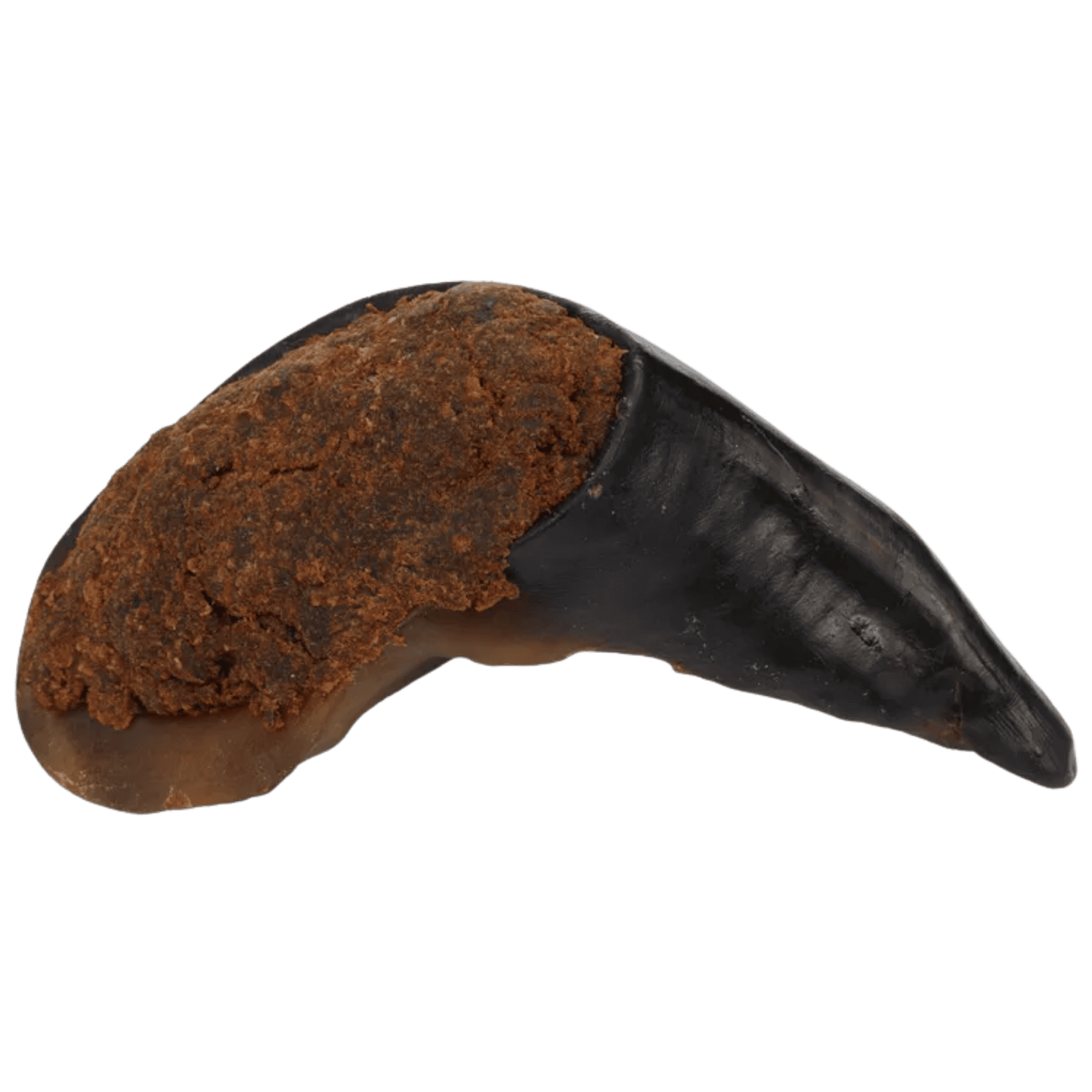 Sabot de Buffle fourre Poumon pour Chien
