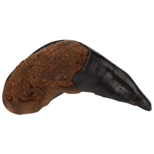 Sabot de Buffle fourre Poumon pour Chien