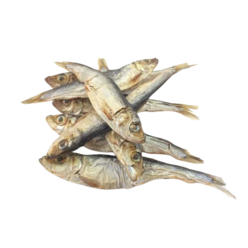 Sprat entier