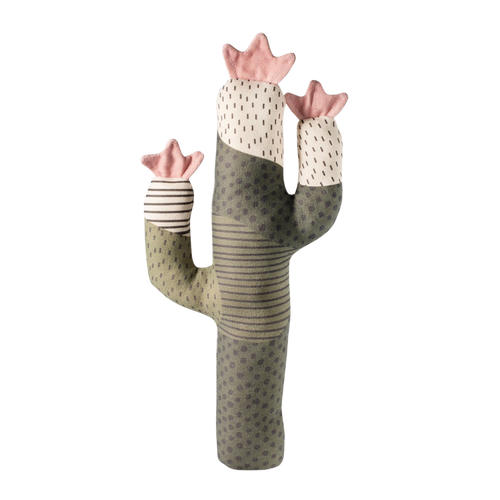 Summer cactus