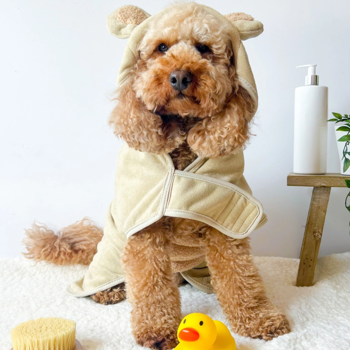 Peignoire Teddy Graouuu - CocoPup