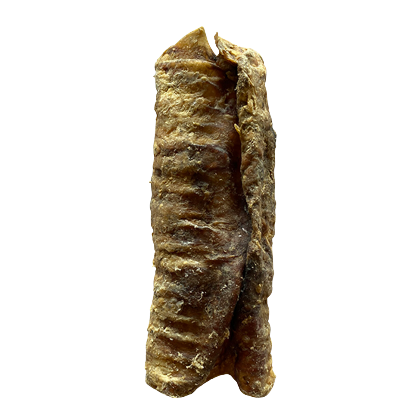 Trachée de boeuf 15cm