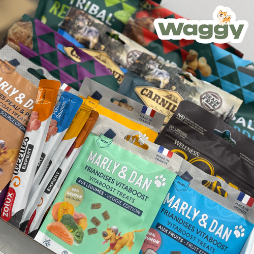La WaggyBox de travail