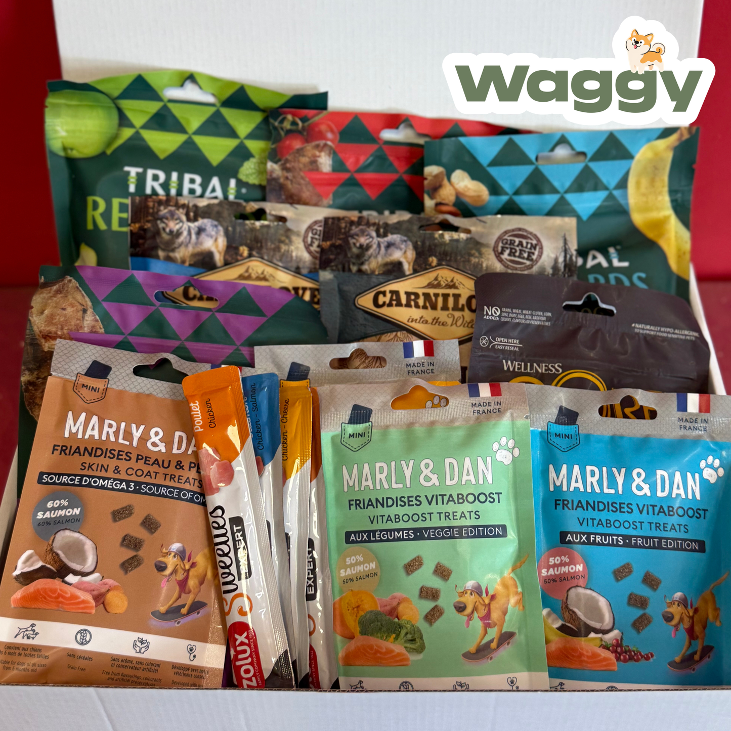La WaggyBox de travail