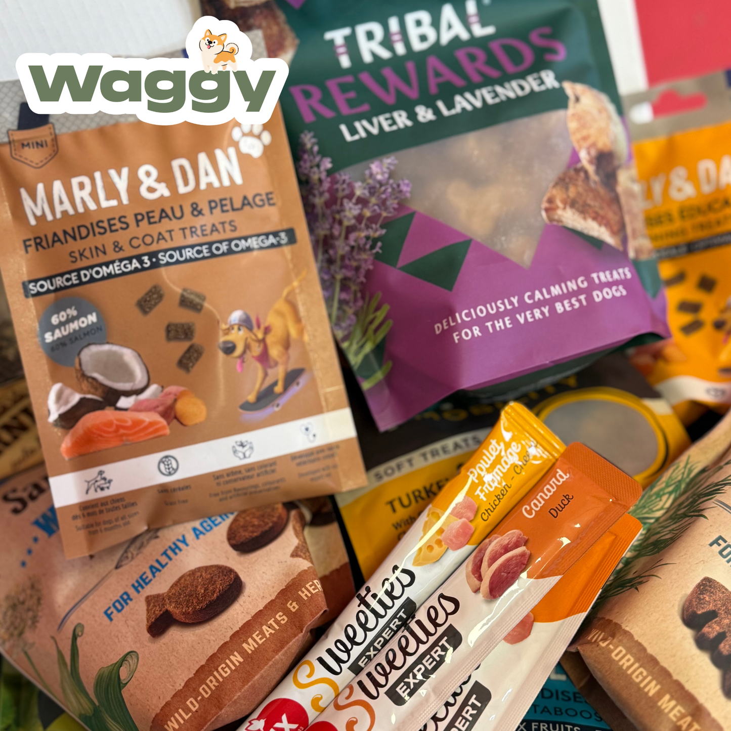 La WaggyBox de travail