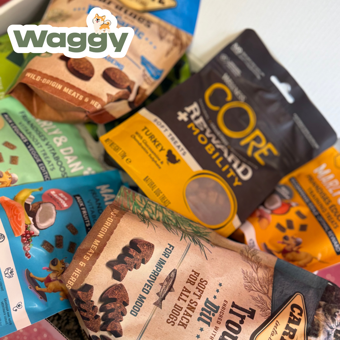 La WaggyBox de travail