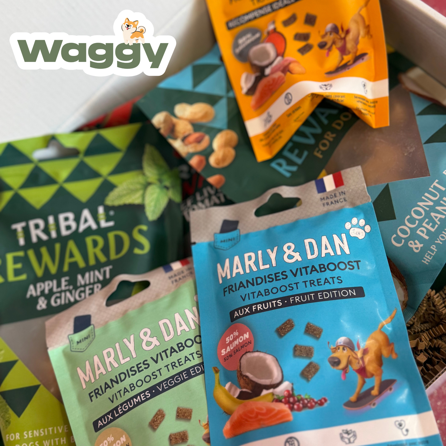 La WaggyBox de travail