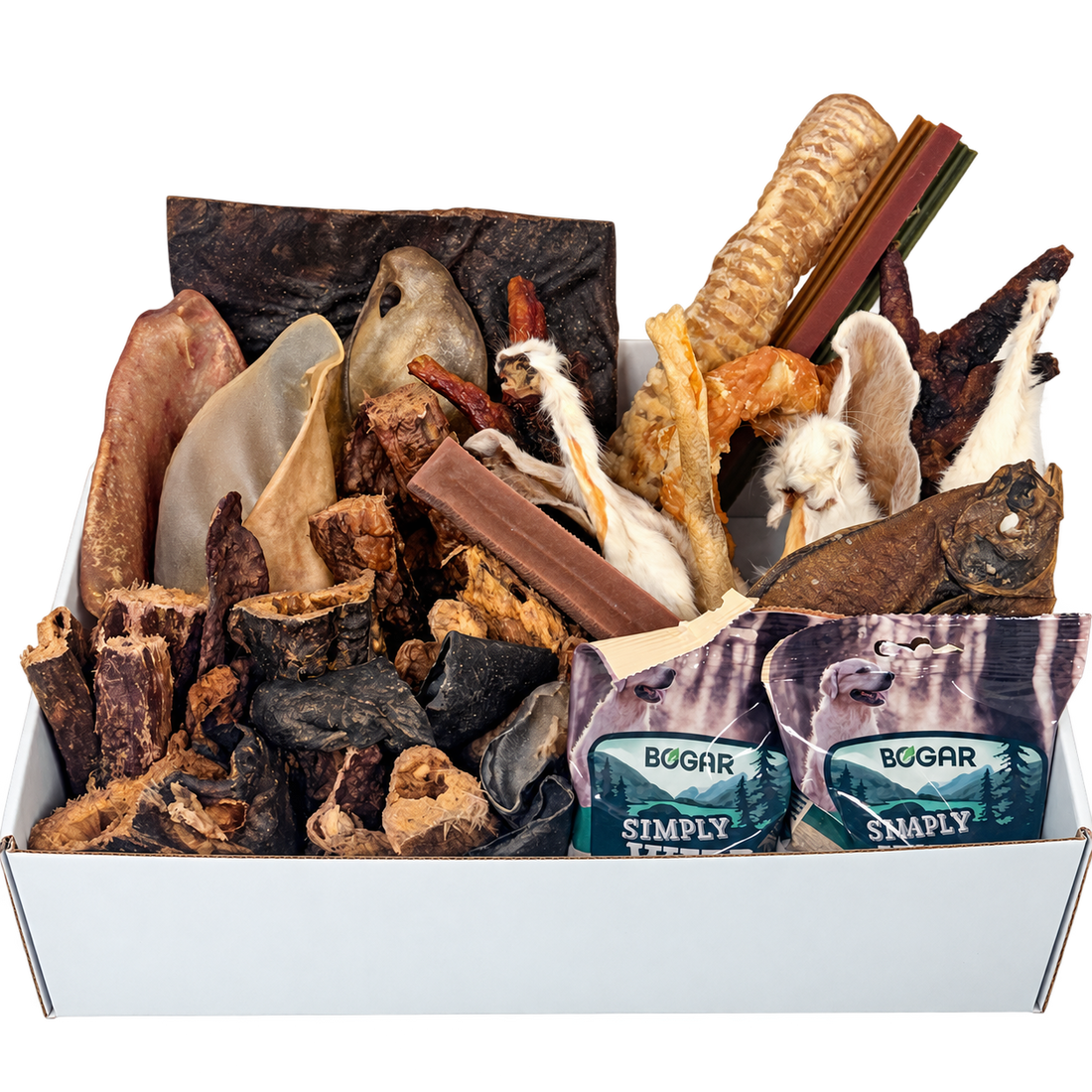 La box de mastication — Édition Winter is Coming